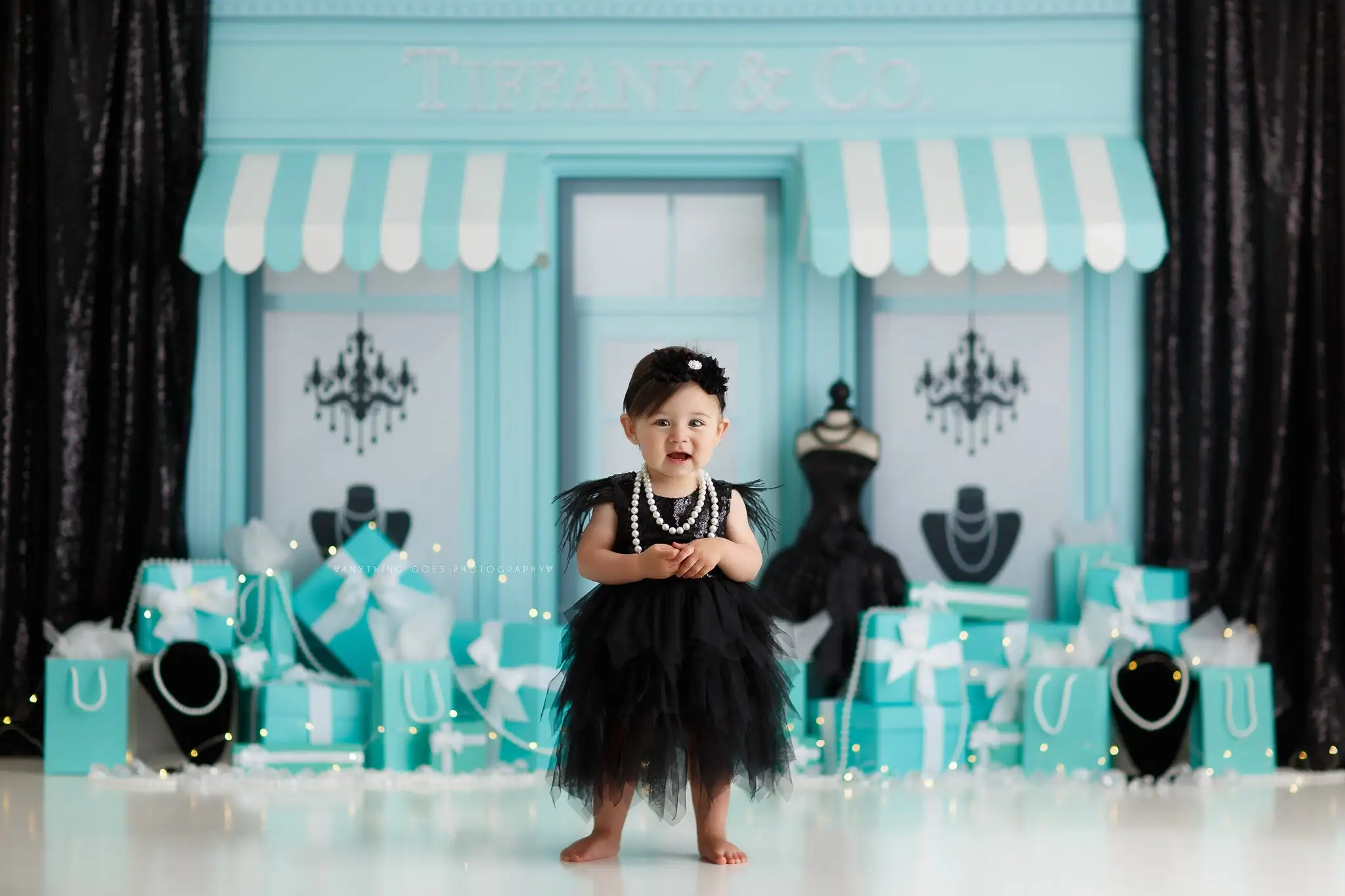 Diamonds Shop Photography Back - Photography Cheat Sheet 评论和价格