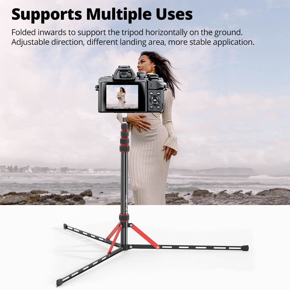 Ambitful GM220 Photographic Li - Photography Basics 评论和价格