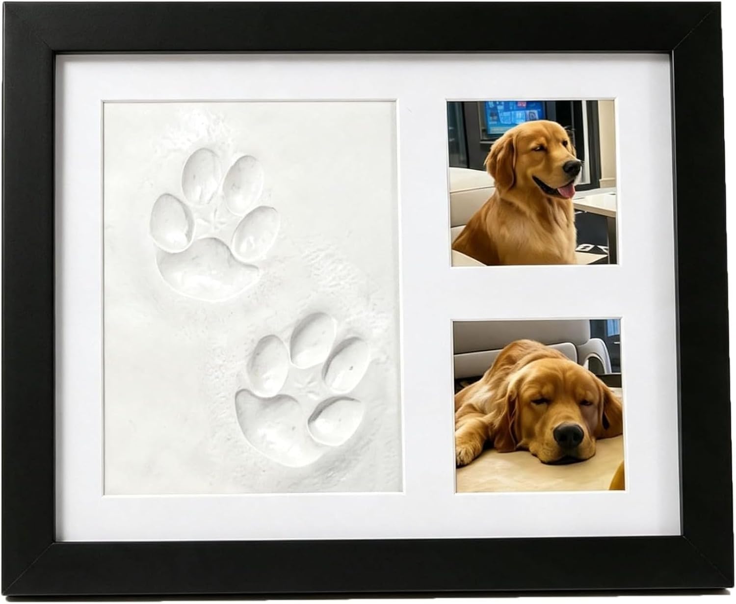 DIY Pet Paw Print Memorial Kit - Photographic Memory 评论和价格
